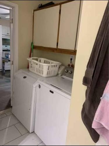 Appartement de 4 chambres à louer à Montreal - Le Plateau-Mont-Royal — photo 9