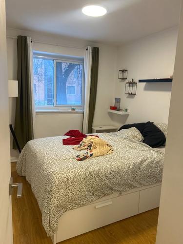 Studio for rent in Québec - La Cité-Limoilou — photo 5