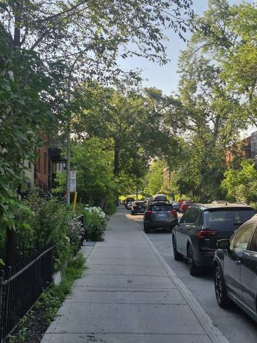 Appartement de 4 chambres à louer à Montreal - Le Plateau-Mont-Royal — photo 8