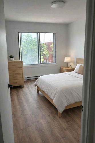 Appartement de 2 chambres à louer à Montreal - Mercier–Hochelaga-Maisonneuve — photo 14