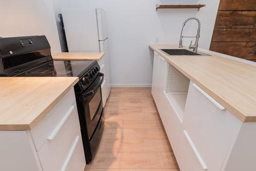 1 bedroom apartment for rent in Montreal - Rosemont–La Petite-Patrie — photo 14