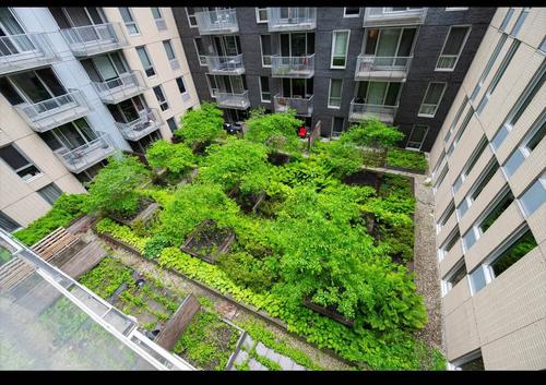 Appartement de 2 chambres à louer à Montreal - Ville-Marie — photo 16