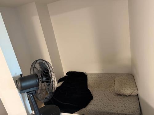 Appartement de 1 chambre à louer à Gatineau — photo 3