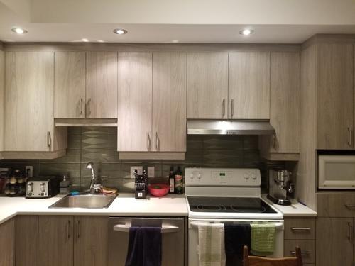 1 bedroom apartment for rent in Montreal - Rosemont–La Petite-Patrie — photo 5