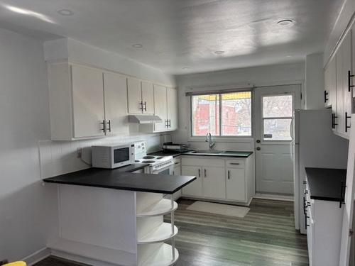 Appartement de 2 chambres à louer à Montreal - Le Plateau-Mont-Royal — photo 13