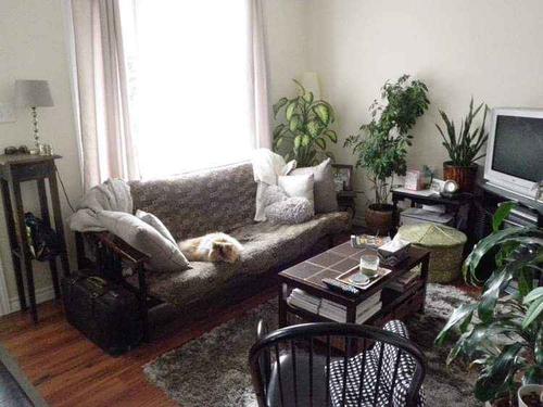 1 bedroom apartment for rent in Québec - La Cité-Limoilou — photo 4