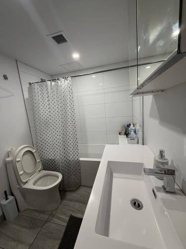 Appartement de 1 chambre à louer à Montreal - Le Plateau-Mont-Royal — photo 4