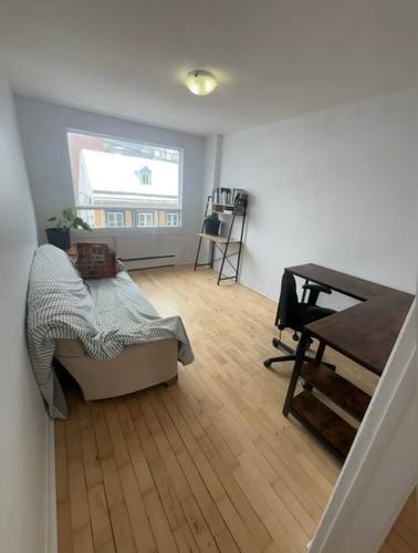 1 bedroom apartment for rent in Québec - La Cité-Limoilou — photo 2