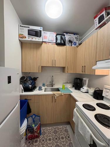 Appartement de 1 chambre à louer à Montreal - Le Plateau-Mont-Royal — photo 2