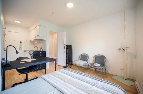 Studio for rent in Montreal - Le Plateau-Mont-Royal — photo 8