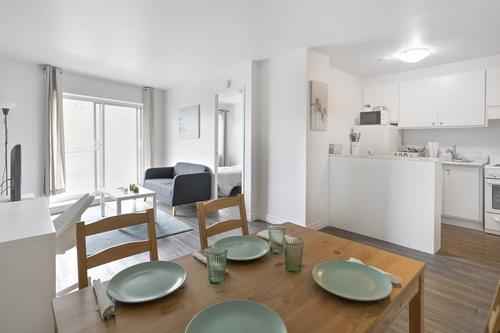 1 bedroom apartment for rent in Montreal - Le Plateau-Mont-Royal — photo 5