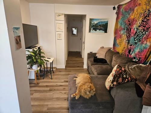 Appartement de 2 chambres à louer à Québec - La Cité-Limoilou — photo 2