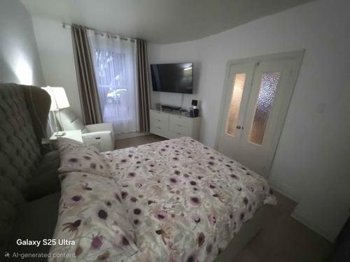 1 bedroom apartment for rent in Montreal - Le Plateau-Mont-Royal — photo 4