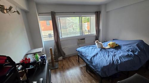 Studio for rent in Montreal - Le Plateau-Mont-Royal — photo 10