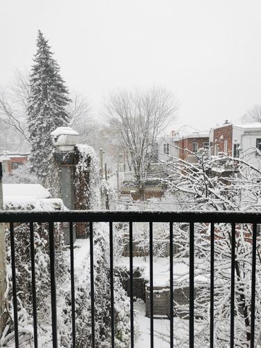 1 bedroom apartment for rent in Montreal - Le Plateau-Mont-Royal — photo 10