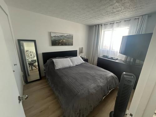 1 bedroom apartment for rent in Sherbrooke — photo 2