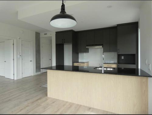 Appartement de 2 chambres à louer à Lévis — photo 3