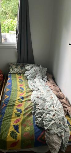 1 bedroom apartment for rent in Gatineau — photo 3