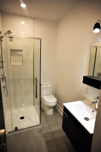 Appartement de 2 chambres à louer à Montreal - Rosemont–La Petite-Patrie — photo 10