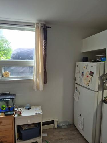 1 bedroom apartment for rent in Lévis — photo 3