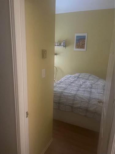 2 bedrooms apartment for rent in Montreal - Le Plateau-Mont-Royal — photo 2