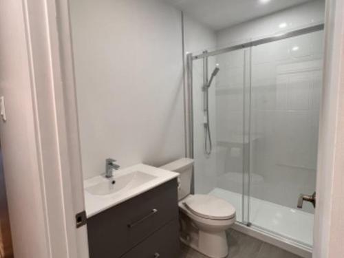 1 bedroom apartment for rent in Montreal - Le Plateau-Mont-Royal — photo 13