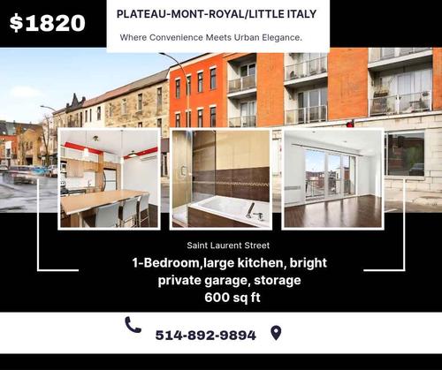 1 bedroom apartment for rent in Montreal - Rosemont–La Petite-Patrie — photo 2
