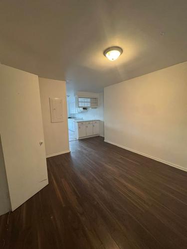 1 bedroom apartment for rent in Montreal - Le Sud-Ouest — photo 2
