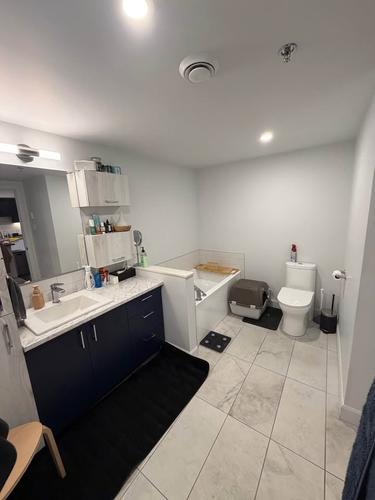1 bedroom apartment for rent in Lévis — photo 6