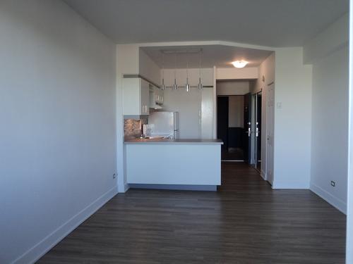 Studio for rent in Montreal - Le Plateau-Mont-Royal — photo 14