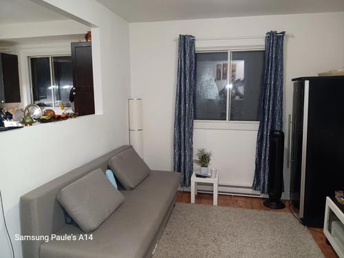 1 bedroom apartment for rent in Montreal - Rivière-des-Prairies–Pointe-aux-Trembles — photo 6