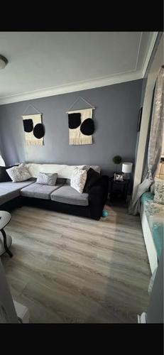Appartement de 2 chambres à louer à Montreal - Rosemont–La Petite-Patrie — photo 2
