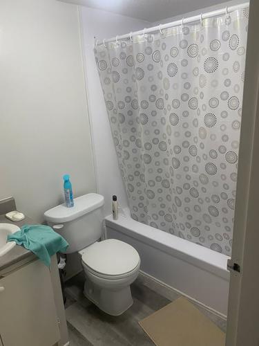 1 bedroom apartment for rent in Gatineau — photo 6