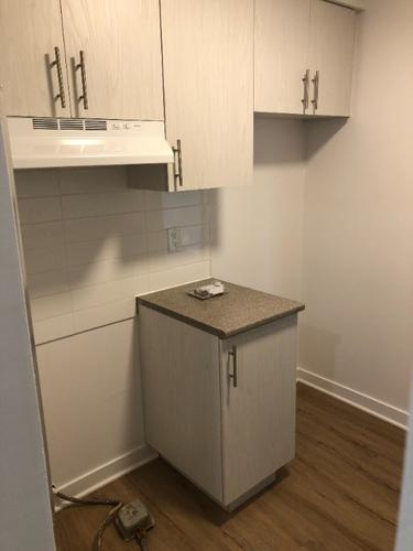 Appartement de 1 chambre à louer à Saint-Lambert (Montérégie) — photo 2