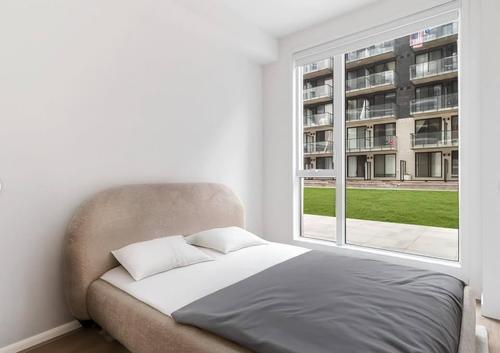 Studio for rent in Montreal - Ville-Marie — photo 2