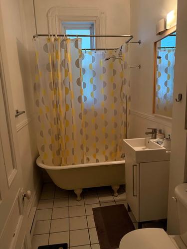 1 bedroom apartment for rent in Montreal - Le Plateau-Mont-Royal — photo 10