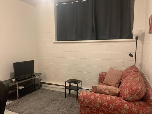Appartement de 1 chambre à louer à Québec - La Cité-Limoilou — photo 3