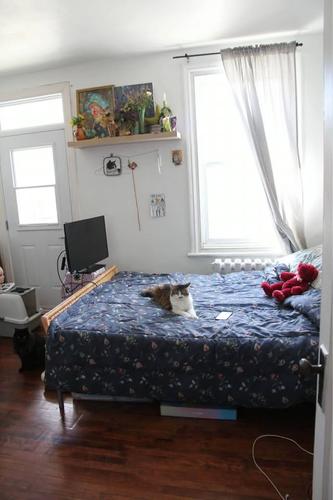 Appartement de 2 chambres à louer à Québec - La Cité-Limoilou — photo 10