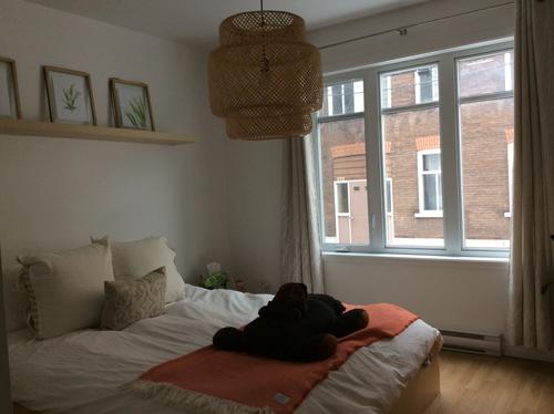Appartement de 3 chambres à louer à Québec - La Cité-Limoilou — photo 7