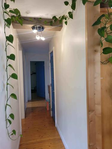 1 bedroom apartment for rent in Lévis — photo 7