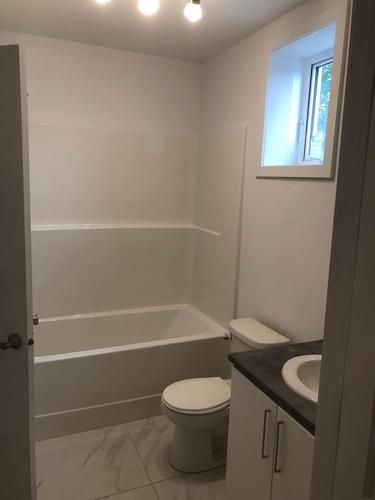 Appartement de 1 chambre à louer à Gatineau — photo 3