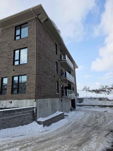 1 bedroom apartment for rent in Montreal - Rivière-des-Prairies–Pointe-aux-Trembles — photo 3