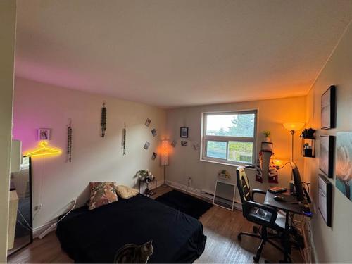 Appartement de 2 chambres à louer à Gatineau — photo 4
