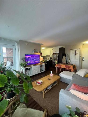 1 bedroom apartment for rent in Montreal - Le Plateau-Mont-Royal — photo 2