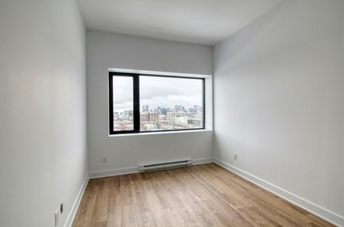 1 bedroom apartment for rent in Montreal - Le Plateau-Mont-Royal — photo 11