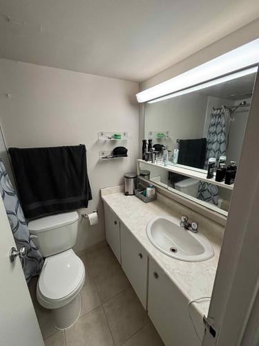 1 bedroom apartment for rent in Montreal - Le Plateau-Mont-Royal — photo 7