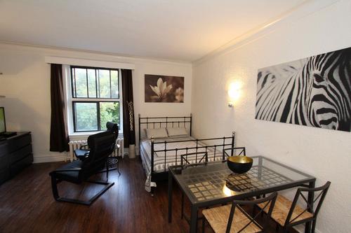 Studio à louer à Montreal - Le Plateau-Mont-Royal — photo 10