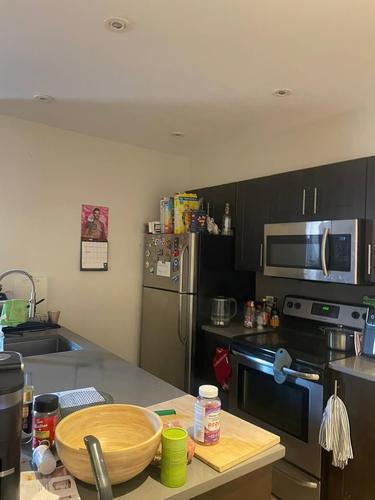 4 bedrooms apartment for rent in Montreal - Le Plateau-Mont-Royal — photo 5