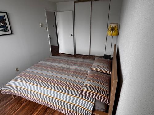 Appartement de 1 chambre à louer à Montreal - Le Plateau-Mont-Royal — photo 6