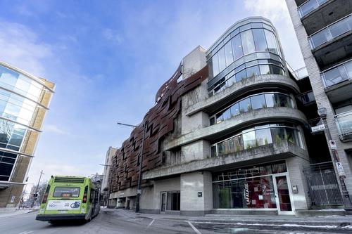 Appartement de 2 chambres à louer à Québec - La Cité-Limoilou — photo 14